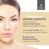 Parallel Products Spot Color Henna Kit - Henna Hair Dye - 5 grams - Tint for Professional Spot Coloring - With Nourishing Oil, Mixing Dish and Application Brush - Root Touch Up (Black)