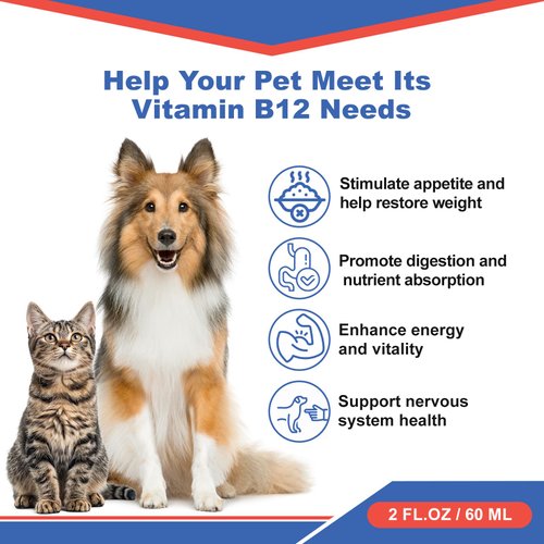 Cat Appetite Stimulant - Methylcobalamin B12 Liquid Supplement - Boost Appetite, Energy & Weight gain - 60ml