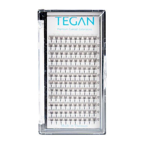 TEGAN LASH Premade Fans Volume Eyelash Extensions Easy Apply Fake Eyelashes Professional Pestanas Pelo A Pelo (3D-0.07-CC-10)