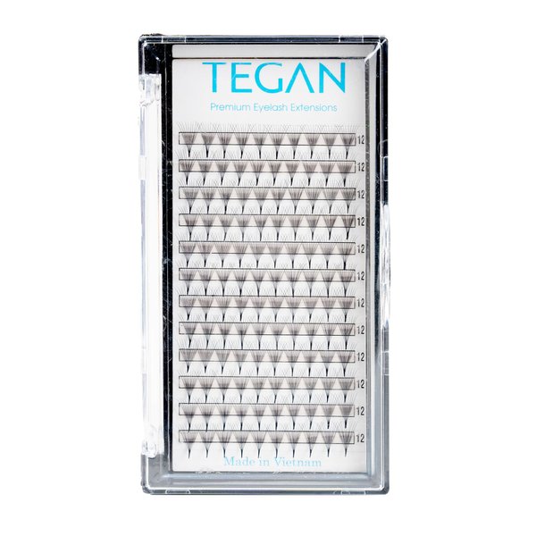 TEGAN LASH Premade Fans Volume Eyelash Extensions Easy Apply Fake Eyelashes Professional Pestanas Pelo A Pelo (3D-0.07-CC-10)