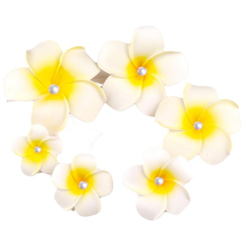 6Pcs Hawaii Plumeria Flower Clips Pearl Hawaiian Flower Hair Barrettes Beach Party Hair Clips Art...