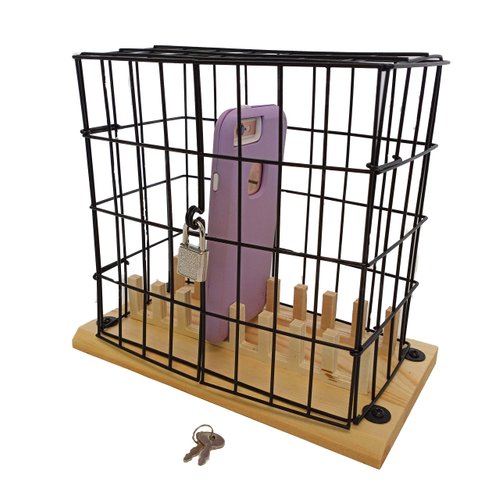 Dondor Cell Phone Lock Up Cage Prank Gift