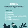 Green Beaver All Natural Organic Toothpaste, Vegan, Fluoride Free & Gluten Free Toothpaste, Zesty Orange Flavor, 75ml, 3 Pack