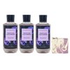 Bath & Body Works Violet Leaf & Blackberry 3 Piece Shower Gel Value Pack with a Lavender Dream Bar Soap - Full Size