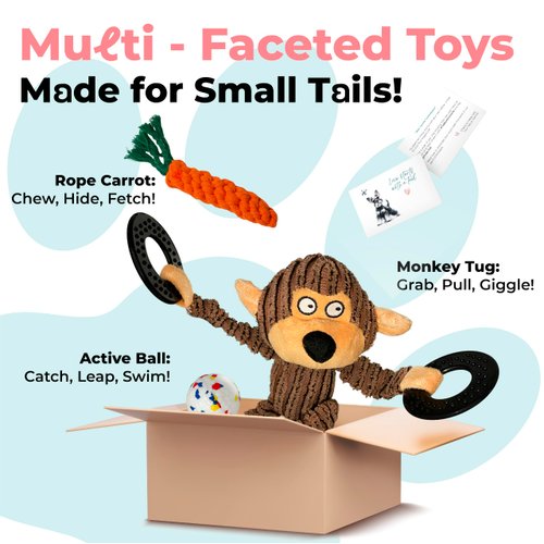 TrainTail Dog Toys Set for Small Medium Dogs, Cute Plush Toys with Rope Carrot Monkey Ball for Puppy Teething Chewing Play