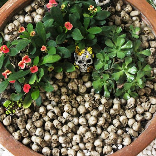 20pcs Mini Skulls Mini Skull Heads Tiny Skulls Small Skulls Mini Halloween Figurines Miniature Skulls Tiny Skeleton Mini Halloween Figures Haunted Dollhouse Accessories for Mini Halloween Decorations