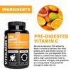 Real Vitamin C, Gains in Bulk Whole Food Vitamin C Supplement, High Potency, Whole Food Vitamin C from Plant Sources, Dietary Supplement, 60 Vegan Chewables