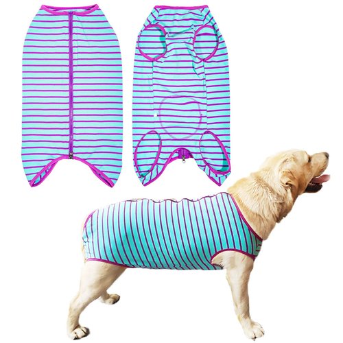 Dog’s Recovery Suit Post Surgery Shirt for Female Male Dog, E-Collar Alternative Wound Protective Clothes (Purple stripe-2xl)