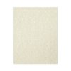 Best Paper Greetings 96 Sheets Parchment Paper for Certificates, Resumes, Diplomas, 90 GSM Textured Stationary, Printer-Friendly (Ivory, 8.5 x 11 In)
