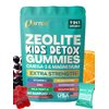 Parrox Zeolite Kids Gummies, 9-in-1 with Zeolite, Omega-3, Magnesium, Elderberry, Vitamin C, Milk Thistle, Vitamin D3, Zinc, B12 – Sugar-Free (60 Gummies – Mixed Berry Flavor)