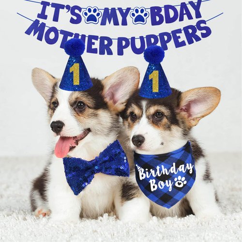JOTFA Dog Birthday Party Supplies, Multi Sizes Dog Birthday Bandana Boy Dog Birthday Hat Bow Tie Birthday Numbers It’s My Bday Mother Puppers Sign Banner for Small Dogs Pets (Small, Blue)