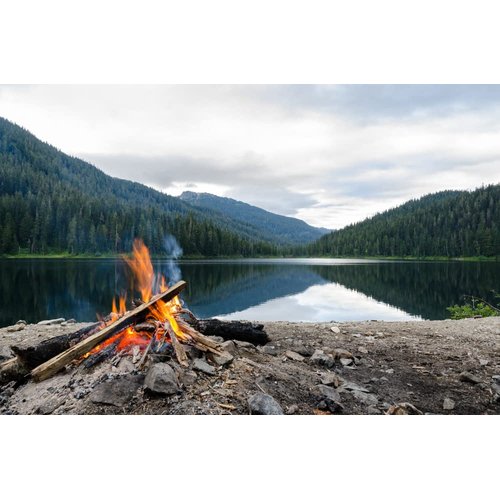 Smoke Jumper (Pine Tar) Premium Bar Soap - Cold-Processed Castile Soap - Eco-Friendly, Vegan, Hypoallergenic, All-Natural, Plant-Derived, Handmade in USA by Nature's Apothecary