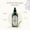 OTACI 10 Herbs Rejuvenate Shampoo for Bright and Shiny Hair, Sage, Peppermint, Melissa, Rosemary, Myrtle, Storax, Thyme, Juniper, Lavender, Chamomile, No Paraben & Silicon, Herbal Shampoo Normal Hair