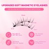 FindLove 2 pairs Magnetic Lashes with Applicator Short Waterproof Magnetic Eyelashes Kit Natural Look Easy to Wear(XEM)