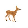 Schleich Wild Life, Animal Figurine, Animal Toys for Boys and Girls 3-8 Years Old, White-Tailed Doe, Ages 3+
