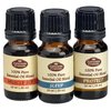 Fabulous Frannie Pure Essential Oil Blend Top 3 Set - Muscle Ice, Protect, Sleep 10ml (Pack of 3)