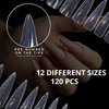MGART Dual Nail Forms ALMOND Extension Structure Poly nail gel Nail Forms Full Cover Nail Molds 12 Sizes for Solid Nail Gel Glue Nail Art Design Salon&DIY