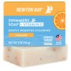 Newton Bay Swimmers Soap + Vitamin C | All Natural Body and Face Wash Soap Bar | Neutralizes and Washes Away Chlorine After Swimming | Revitalizes Sensitive Skin | Single 4 Ounce Soap Bar