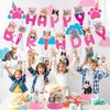 Cat Birthday Party Hanging Swirls - NOVBAUB 20PCS Lovely Pink Cat Birthday Party Supplies Honeycomb Centerpieces Cute Cat Theme Birthday Party Decorations for Cats Kids Teens Adults