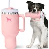 PUPROAR Pup Cup Tumbler Dog Toy – Squeaky Dog Toy, Funny Dog Toys for Birthdays, Plush Puppy Toys (Pink Peach Dust)