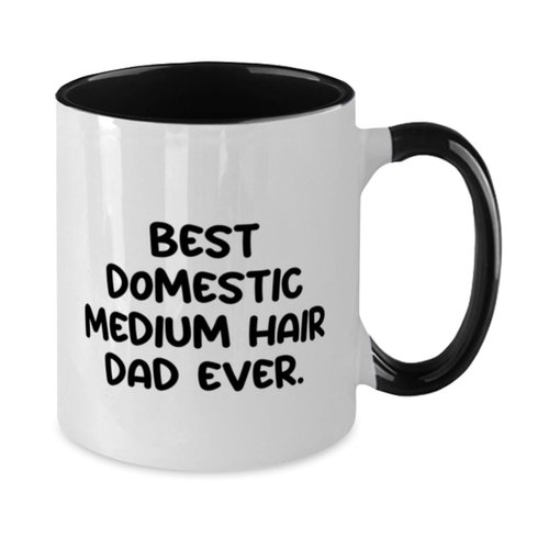 Unique Idea Domestic Medium Hair Cat Two Tone 11oz Mug, Best Domestic, Present For Cat Dad, Motivational Gifts From Friends, Domestic medium hair cat toy ideas, Domestic medium hair cat food ideas