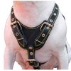 Black Genuine Leather Dog Harness, Medium. 25.5"-29" Chest, 1" Wide Adjustable Straps
