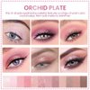 AMY'S DIARY 12-Color Rose Purple Pink Eyeshadow Palette for Versatile Day-to-Night Looks – Blendable, Long-Lasting, and Highly Pigmented. Elevate Your Eye Makeup– Unleash Your Unique Style (10#)