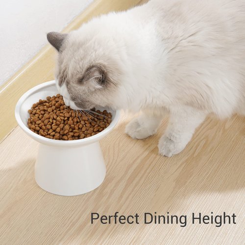 CEEFU Extra Wide Elevated Cat Bowls - Ceramic Cat Food Bowl 6.2" Raised Cat Food Bowls Elevated Shallow Cat Food Dish, Whisker Fatigue, Lead & Cadmium Free, 5" Good Height for Cat Feeding, White