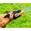 Chuckit! Ultra Bumper Tug Dog Toy,Orange,Medium