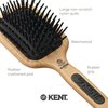 Kent PF19 Beechwood Cushion Paddle Brush - Scalp Massager and Detangler Brush - The Hair Brush for Thick Hair - Scalp Massager Hair Growth Stimulator - Hair Detangler Brush and Curly Hair Brush