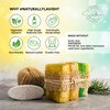 SABUN CO. [3 Pack] Cedarwood Oil with Loofah Soap Bar - Natural Exfoliating Bar Nourishing, Hydrating, Moisturizing Handmade Soap For Face and Body [4.4 oz - 125 gr x 3]
