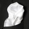 ROYAL SILK Fine White 100% Silk Pocket Square for Men Full-Sized 17"x17"