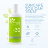 SPF30 Broad Spectrum Natural Sunscreen, Soothing and Hydrating Mineral Sunscreen, Vegan, Paraben-Free Sunblock, Water-Resistant Sunscreen for Face and Body, 4oz - Natural Tone Organic Skincare