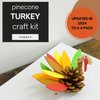 4E's Novelty 4 Pack Pinecone Turkey Craft Kit - DIY Thanksgiving Crafts for Kids & Adults, Thanksgiving Table Decorations, Turkey Arts and Crafts for Kids, Thanksgiving Centerpiece Craft for Kids