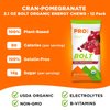 PROBAR - BOLT Organic Energy Chews, Cranberry Pomegranate, Non-GMO, Gluten-Free, USDA Certified Organic, Healthy, Natural Energy, Fast Fuel Gummies with Vitamins B & C (12 Count)
