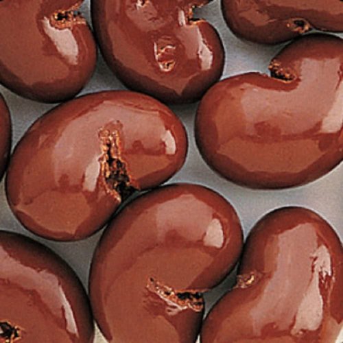 The Nutty Fruit House Gourmet Chocolate Covered Cashew (Milk Chocolate, 1 Pound (Pack of 1))