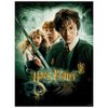 Harry Potter Chamber of Secrets 500 Piece Jigsaw Puzzle for Adults, 16" L X 21.5" W