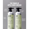 AG Hair Balance Apple Cider Vinegar Sulfate-Free Shampoo, 12 Fl Oz
