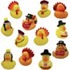 4E's Novelty Thanksgiving Rubber Duckies (12 Pack) Thanksgiving Themed Rubber Ducks Bulk Turkey & Pilgrim Ducks, Thanksgiving Party Favors Supplies for Kids Adults, Table Centerpiece, Bath Toys