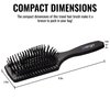 Ergo Mini Ionic Polishing Paddle Brush - Small Detangling Hair Brush for Wet & Dry Use - Professional Hair Care Styling Tool (ER500)