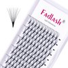 Eyelash Extensions Premade Fans Eyelash Extensions C CC D DD Curl Pointy Tip Pre Fan Eyelashes Premade Lash Extension Fans Volume Lash Extensions Pre Made Volume Lashes (10D-0.07D, 13mm)
