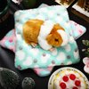 4 Pieces Rabbit Bunny Bed Guinea Pig Bed Mats Plush Bunny Pad Mats Small Animal Dog Cat Bed Dog Crate Kennel Pad Mat Hamster Cozy Dog Bed Mat for Small Animal (Heart Pattern, 10 x 11 Inch)