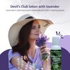 Snowy Summit Lavender Devil's Club Lotion - Quick Absorbing Herbal Body Lotion for Dry Skin Relief - Alaskan Crafted Natural Lotion with Olive, Avocado & Sweet Almond Oil - Non-Greasy Formula - 3 oz.