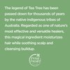 Petal Fresh Pure Scalp Treatment Tea Tree Conditioner, Nourishes the Scalp, Reduces Itchy Scalp and Irritation, Infused with Essential Oils, Vegan and Cruelty Free, 16 Fl. oz