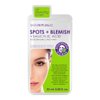 Skin Republic Spots & Blemish Face Mask 25ml