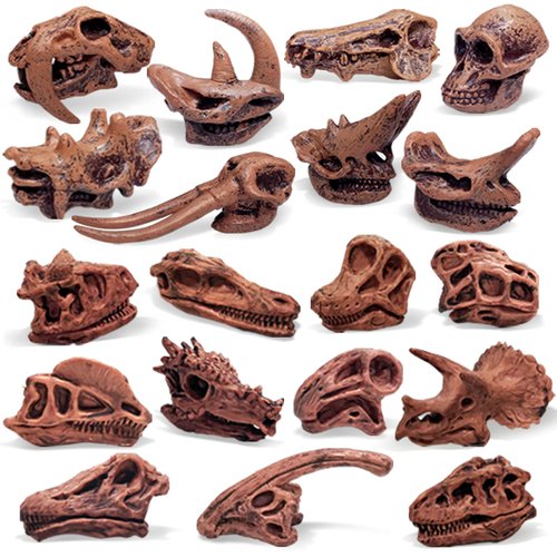 Fantarea Ancient Animal Dinosaur Head Skeleton Fossil Assorted Bones Playsets 19 PCS Action Figures Model Toys for Kids