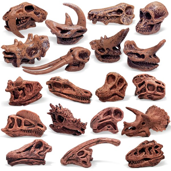 Fantarea Ancient Animal Dinosaur Head Skeleton Fossil Assorted Bones Playsets 19 PCS Action Figures Model Toys for Kids