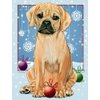 Pipsqueak Puggle Christmas Cards : 10 Holiday Cards with Red Envelopes - ADORABLE!