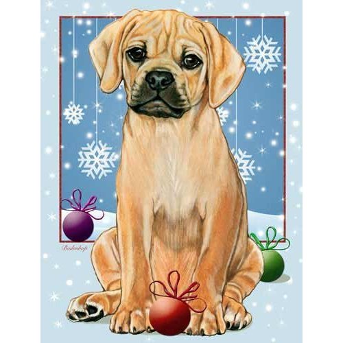Pipsqueak Puggle Christmas Cards : 10 Holiday Cards with Red Envelopes - ADORABLE!