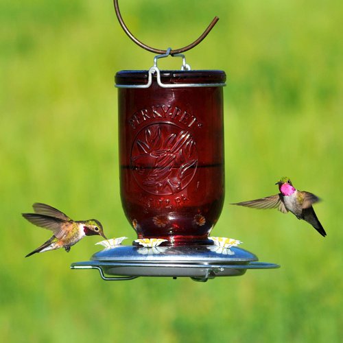Perky-Pet 786-1SR Mason Jar Vintage Glass Hummingbird Feeder - Outdoor Garden Décor - 32-oz